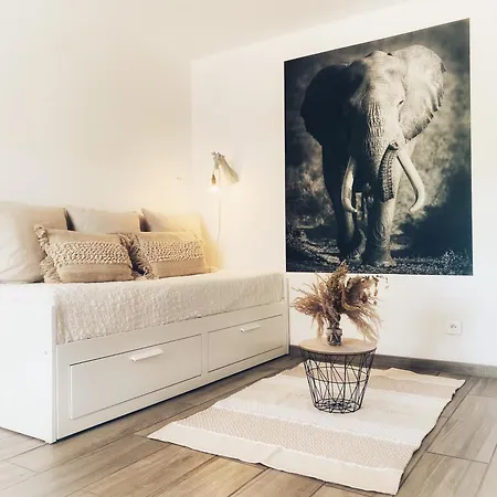 L'Evasion Cosy Compacte, Confort Optimise * Saverne